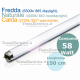 Tubo a neon 150 cm 58 watt cm T8 Standard Trifosforo Leuci o Philips