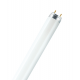 Tubo a neon 120 cm 36 watt cm T8 Osram Ledvance