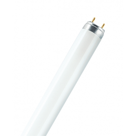 Tubo a neon 120 cm 36 watt cm T8 Osram Ledvance