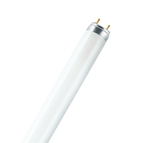 Tubo a neon 120 cm 36 watt cm T8 Osram Ledvance