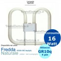 Lampada 2d 16W GR10q 4 pin