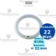 Circolina al neon 22 watt 21,5 cm T8 Standard Trifosforo Leuci