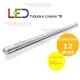 Tubo a led 60 cm T8 12 watt Dgk
