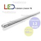 Tubo a led 60 cm T8 12 watt Dgk