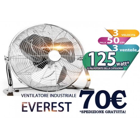 Ventilatore industriale acciaio Everest timar