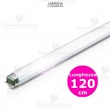 Tubo a Led colorato Viola 120 cm 18 watt T8