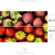 Tubo a led 60 cm cri 97 Wiva